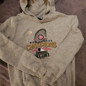 2016 Chicago Cubs world series champion grey hoodie